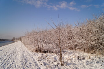 Winter am Fluss