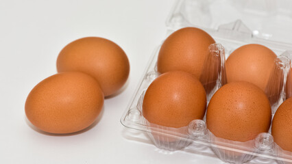 animal foods and chicken eggs photos