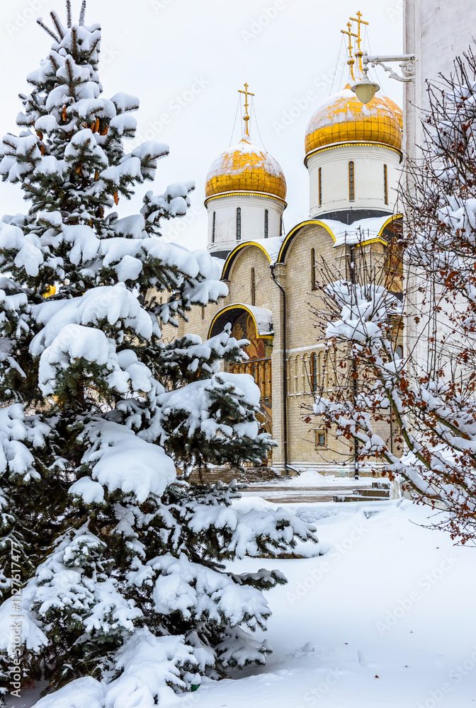 Wall mural Snow-covered spruce tree against the backdrop of Cathedral and Cathedral Square in Moscow Kremlin in Moscow, Russia. Winter scene of Moscow Kremlin.