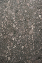Dark gray terrazzo with irregular speckled texture