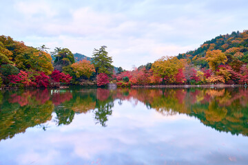 Obraz premium 秋の再度公園