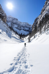 a lone traveler hiking on a serene snowy landscape
