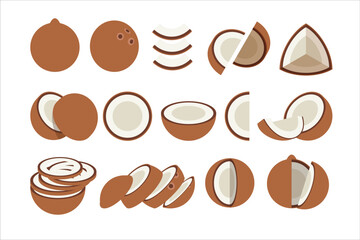 Set of brown coconut, Farm fresh coconut product emblem for grocery shop, Slides, long and cross sections, and different positions, simple flat vector illustration of vegetables and fruits.