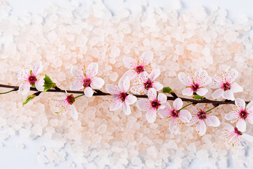 Branch pink flowers with white flowers on top pile pink salt. White background with salt sakura. Handful of white flowers lies on a branch of sakura in the sea. A handful of white flowers lifestyle.