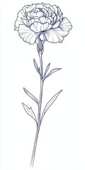 A line art illustration of a single carnation, in a vector style with a flat design and a white background
