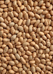 Wheat grains forming a textured background in a close-up shot, organic, seed, texture