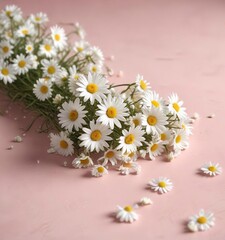 Obraz premium White daisies scattered on a pastel pink tabletop, decor, minimal