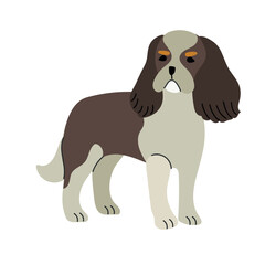 Сavalier king charles spaniel icon clipart avatar logotype isolated illustration