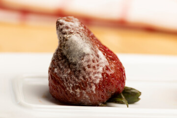 fruta deteriorada y en mal estado 