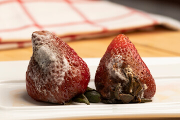 fresas con moho y en mal estado sobre un plato blanco