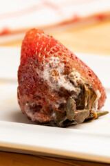 proceso de fermentado y descomposición en una frutilla