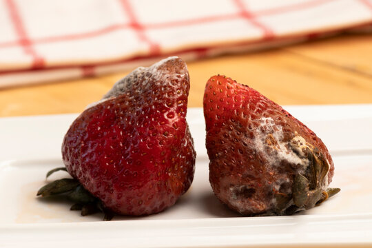 frutillas en descomposici&oacute;n con moho sobre un plato blanco