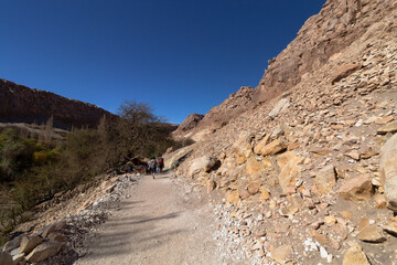 camino de tierra en valle de Jeré , desierto de Atacama, Chile