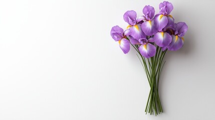 Naklejka premium Beautiful Violet Orchids on White Background for Floral Arrangement