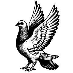 dove with halftone stipple effect