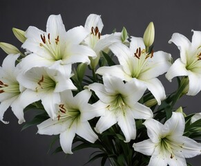 Fototapeta premium White lilies with black ribbon symbolize grief and loss on grey backdrop, honoring the departed, funeral wreath