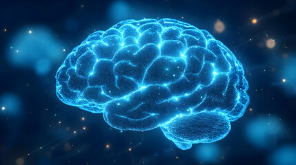 Human Brain: Structure, Function, and Mysteries Unveiled