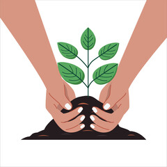 A minimalist illustration showing hands planting a young sapling in soil, viewed from a side perspective. The design features hands carefully placing or tending to a small green plant 