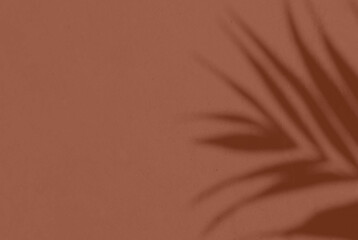 Shadow leaf dypsis on Mocha Mousse color wall. Mocha mousse color of the year 2025. Monochrome background.