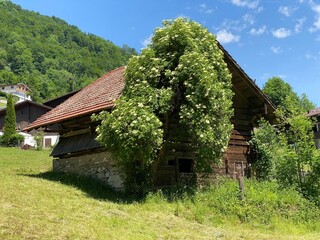 Obraz premium Traditional rural architecture and family livestock farms on the shores of Lake Lungern - Canton of Obwald, Switzerland (Traditionelle Architektur am Ufer des Lungernsees - Schweiz)