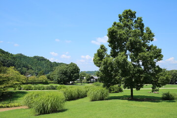 奈良の明日香村