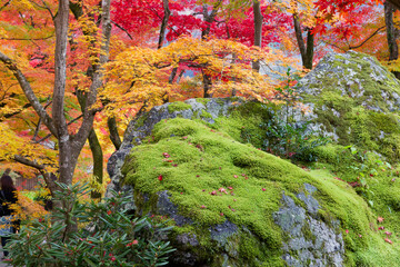 宝厳院の獅子吼の庭