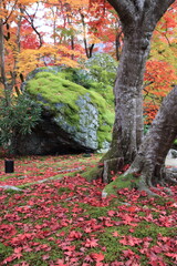 宝厳院の獅子吼の庭