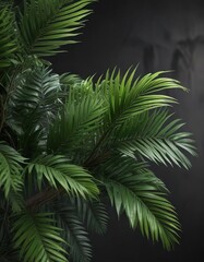 Close-up of a cluster of small green palm leaves on a dark wooden branch, small details, jungle
