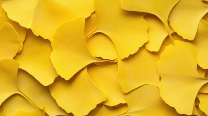 Naklejka premium Seamless background of golden Ginkgo biloba plant leaf in Fall closeup view.