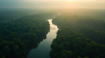 aerial view, rainforest, river, generative ai