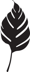 Vector Illustration of a Monstera Leaf