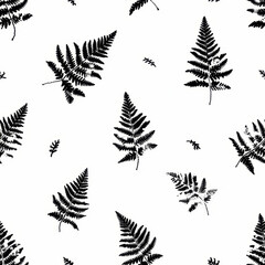 Fern leaf sketch seamless pattern  delicate curved shapes and dynamic details in black on white