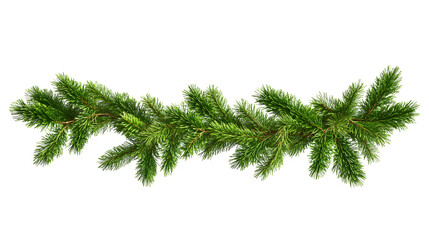 Obraz premium Green pine twigs in a Christmas garland isolated on transparent background