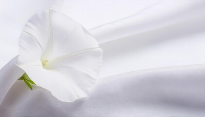 Obraz premium White Morning Glory Flower on a Draped Soft White Silk Fabric