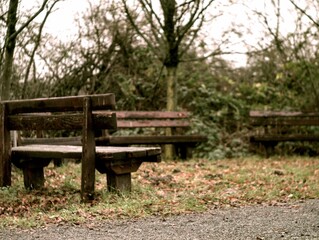 a city park in Frankfurt Main Germany