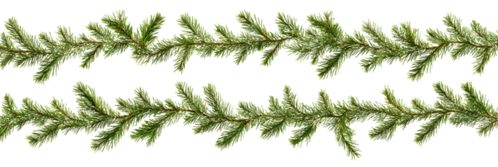 Seamless pattern of Christmas garland from green pine twigs isolated on transparent background
