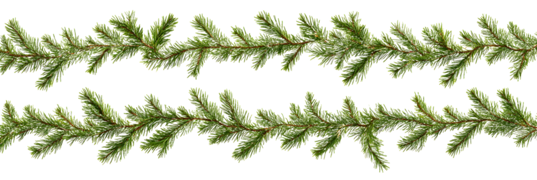 Seamless pattern of Christmas garland from green pine twigs isolated on transparent background