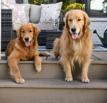 Izzy and Sunny