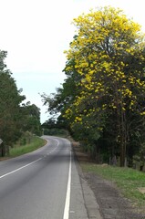Fototapeta premium Encontramos muchas vias de comunicacion en Barinas desde caminos de tierra hasta modernas autopistas,que son utilizadas para el comercio y el turismo.