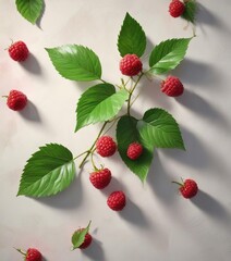 Hand-painted vibrant raspberry with green leaf on a blank canvas, dessert, hand-painted,...