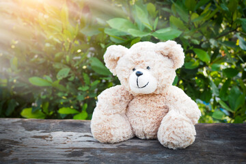 Cute Teddy Bear sitting alone on wooden table