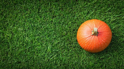 Pumpkin on green lawn. Seasonal theme for greeting card background.