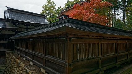 雨の故宮神社の紅葉