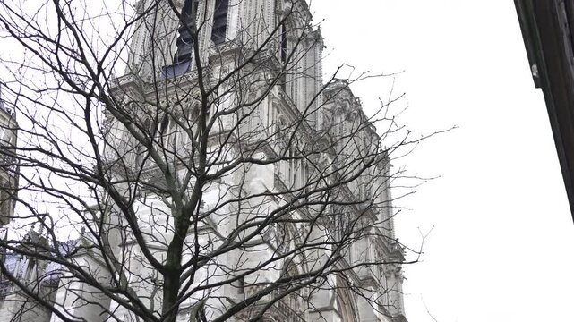 The gothic tower of Notre Dame Cathedral in Paris, beautifully framed by bare winter branches, highlighting its historic elegance. 