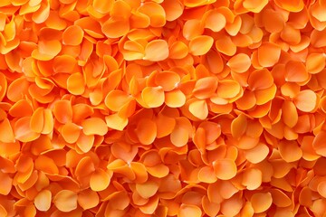 A vibrant display of orange flower petals creating a colorful, textured background.