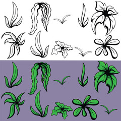 Grass and plant vector illustration design