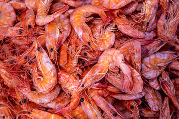 Shrimps in the market. Fresh seafood. Animal protein.