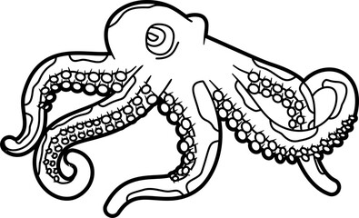 Octopus outline vector