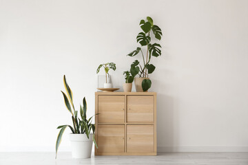 Commode with green plants near light wall in room