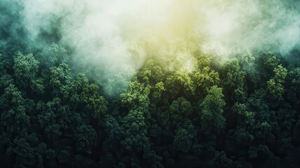 Aerial view of a rainforest with mist rising, showing how transpiration distributes solar energy into the atmosphere